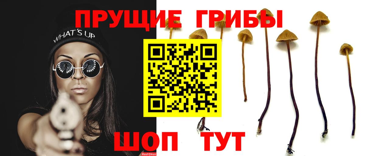 Стерлитамак  Псилоцибиновые грибы мицелий  Вход с VPN 