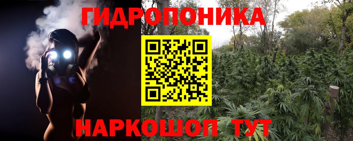 Бошки Шишки сатива Стерлитамак